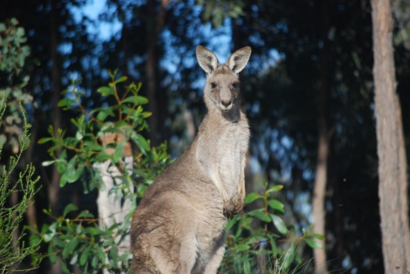 Outside the back door