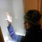 Me and my hand_Jan Palethorper_500