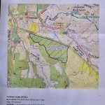 WhiteGumTrack_Burn2020:2021