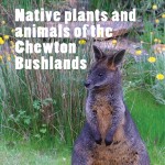 Your guide to 224 native plants and animals of the Bushlands